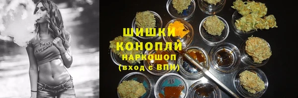 стаф Белокуриха