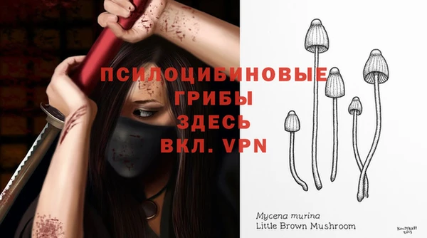 прущая мука Арсеньев