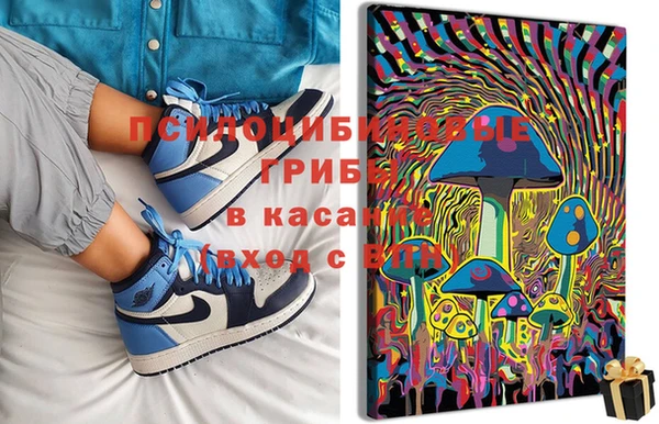 стафф Дрезна