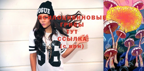 спайс Дубовка