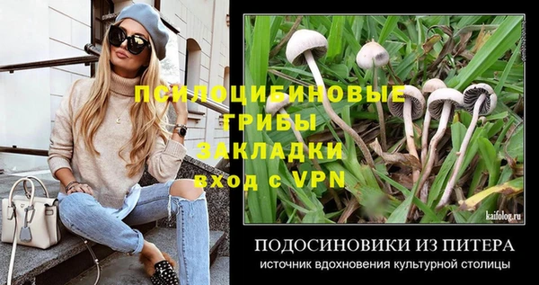 apvp Беломорск