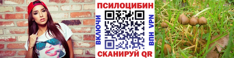 Галлюциногенные грибы мицелий Кологрив